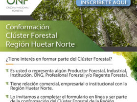 Conformación Clúster Forestal Región Huetar Norte