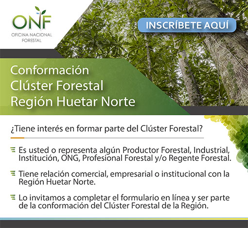 Conformación Clúster Forestal Región Huetar Norte