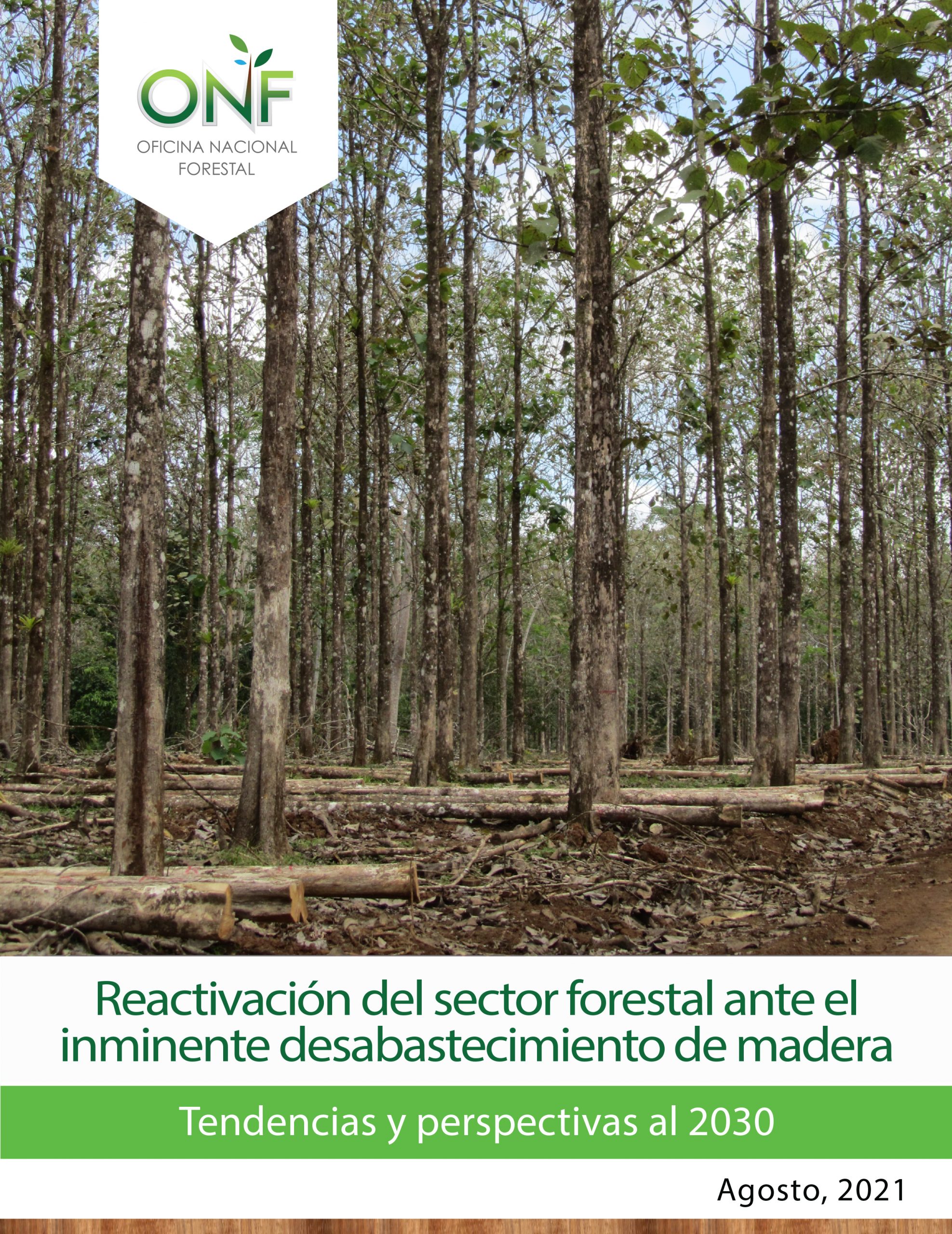 Reactivación del sector forestal ante inminente desabastecimiento de madera: tendencias y perspectivas al 2030