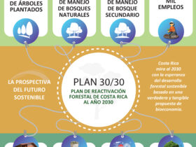 Plan Forestal 30/30 del 2022 al 2030