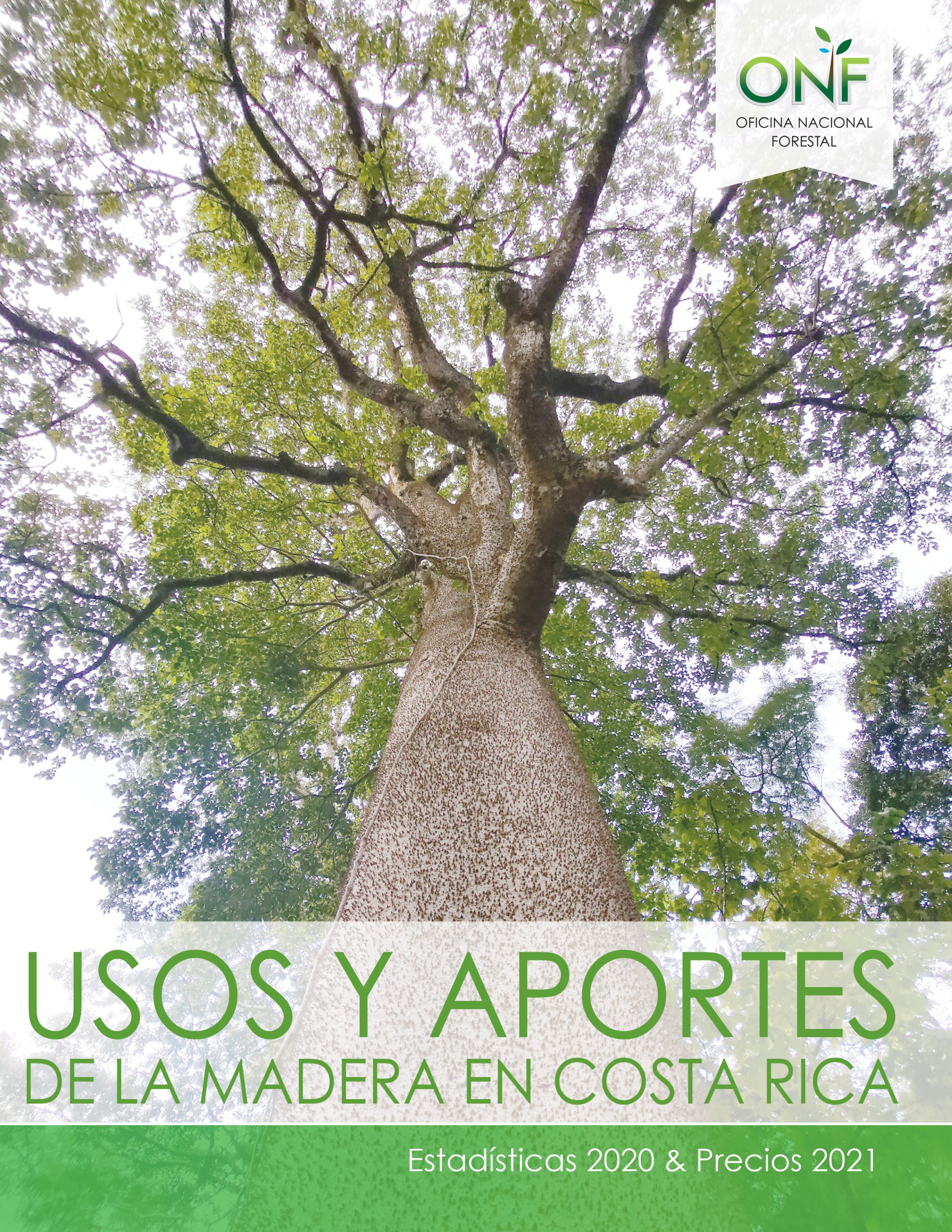 Informe de Usos y Aportes de la Madera en Costa Rica
