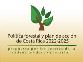 Política forestal y Plan de acción 2022-2025