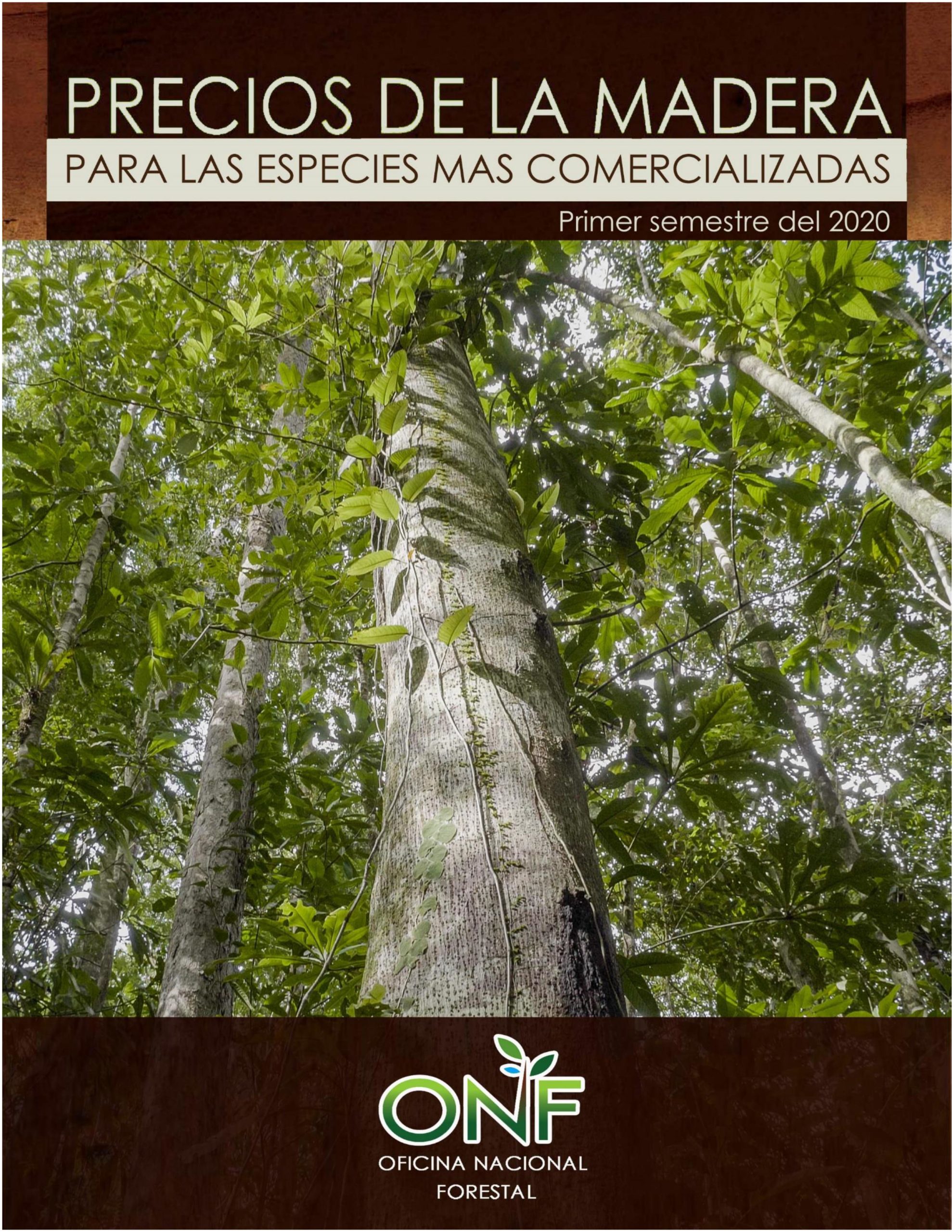 Informe de Precios de Madera