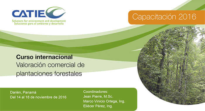 Valoración comercial de plantaciones forestales.