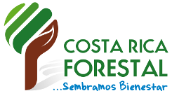 Costa Rica Forestal